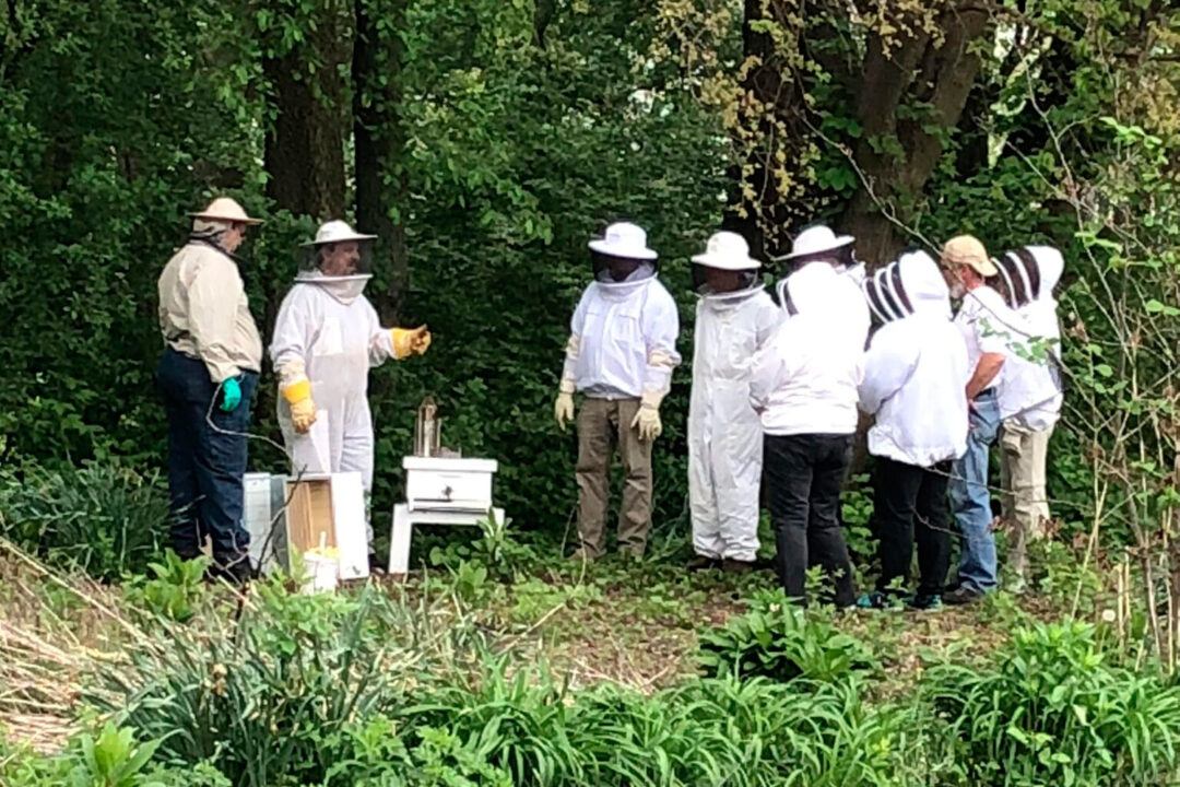beekeeping processes