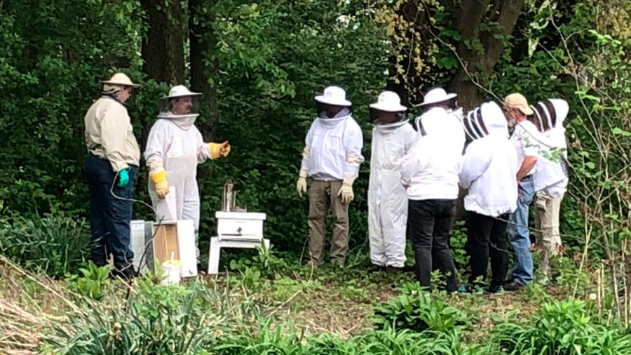 beekeeping processes
